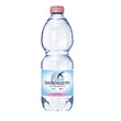 Acqua Minerale - naturale 0,5l